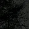 aswkh899