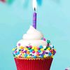 puccitacakeshop