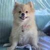ella0417_