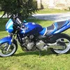 benjy5353