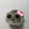 syszuniq