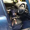 johnjoe_r