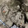 vuthem6