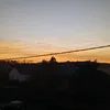 emeline_tmgr