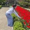 noeliaportillo0