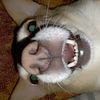 tishka_heiter2