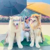 rubynguyen.1903.com