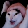 ayyooriiii