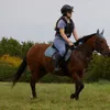 ayesha_rosie24