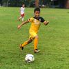 van25mvp