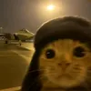 lynxz_69