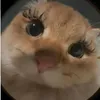 1113.8_