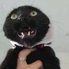 _.poot