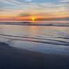 robin_daly