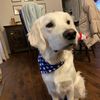 maplesmom