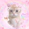 user86566007