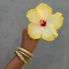 naick24