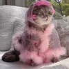 cattos00