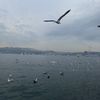 alanoud_94