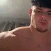 harvey_dove