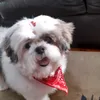 mariperina