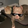 jessjade41