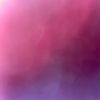 purple753935
