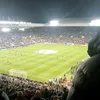taylornufc9