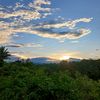 williams_0719