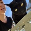 oknowmeow