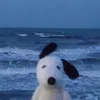 hungpm.me