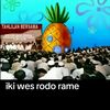 hanafi2653