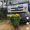duc1996123