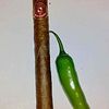 elpicudodinoalosnacos