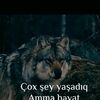 metleb_043