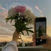nigina_488