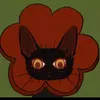 averageboop
