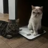 smokeythecat1101