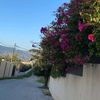 fatimamalaawad1