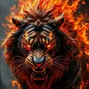 wariskhan7676