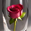 aillli17