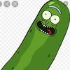 im.pickle.rickkk