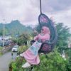 alya2563