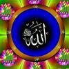 rafaqataligujjar4