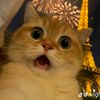 azza_hra.nur
