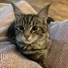 freddy_tyson5