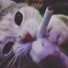 bubble_spuffs