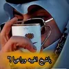 husseinali4205