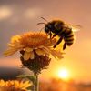 louisianabee81