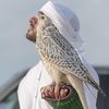 hamadhhs